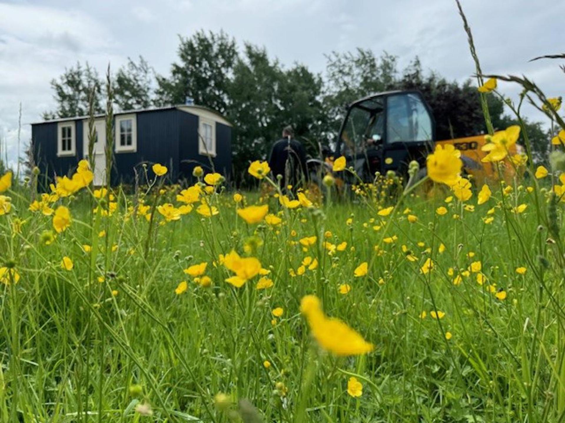 Вилла Shepherds Hut Near Brackley - Walltree House Экстерьер фото